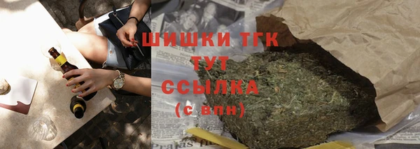сатива Козловка