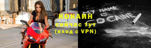 МДПВ Козельск