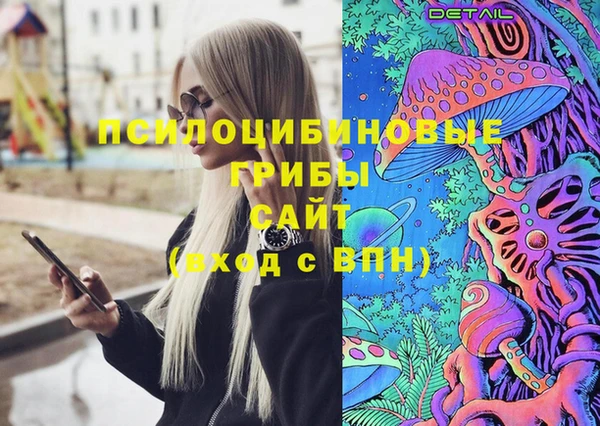 сатива Козловка