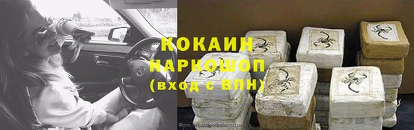 сатива Козловка