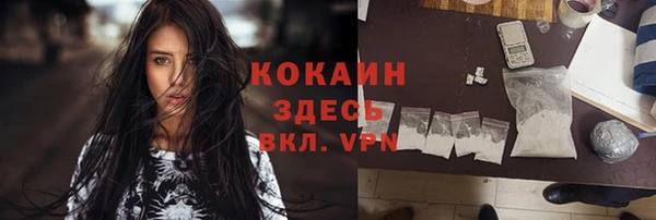 сатива Козловка