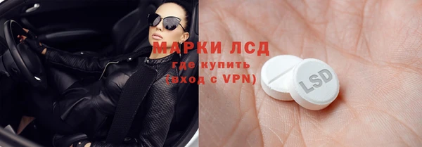 сатива Козловка