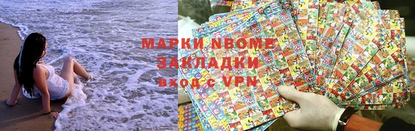 сатива Козловка