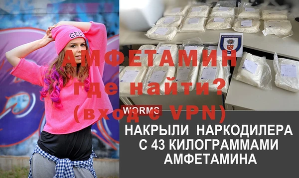 сатива Козловка