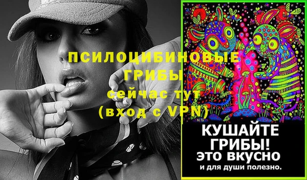 МДПВ Козельск