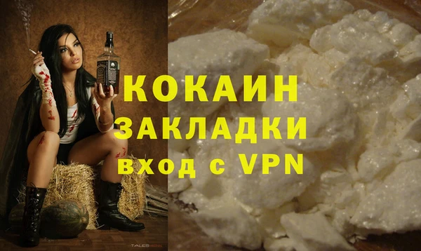 сатива Козловка